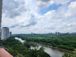 Riverfront Residences (D19), Apartment #610377041